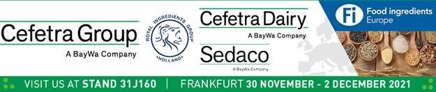 Banner FI Frankfurt